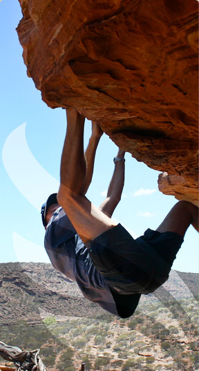 Business Improvement Specialists